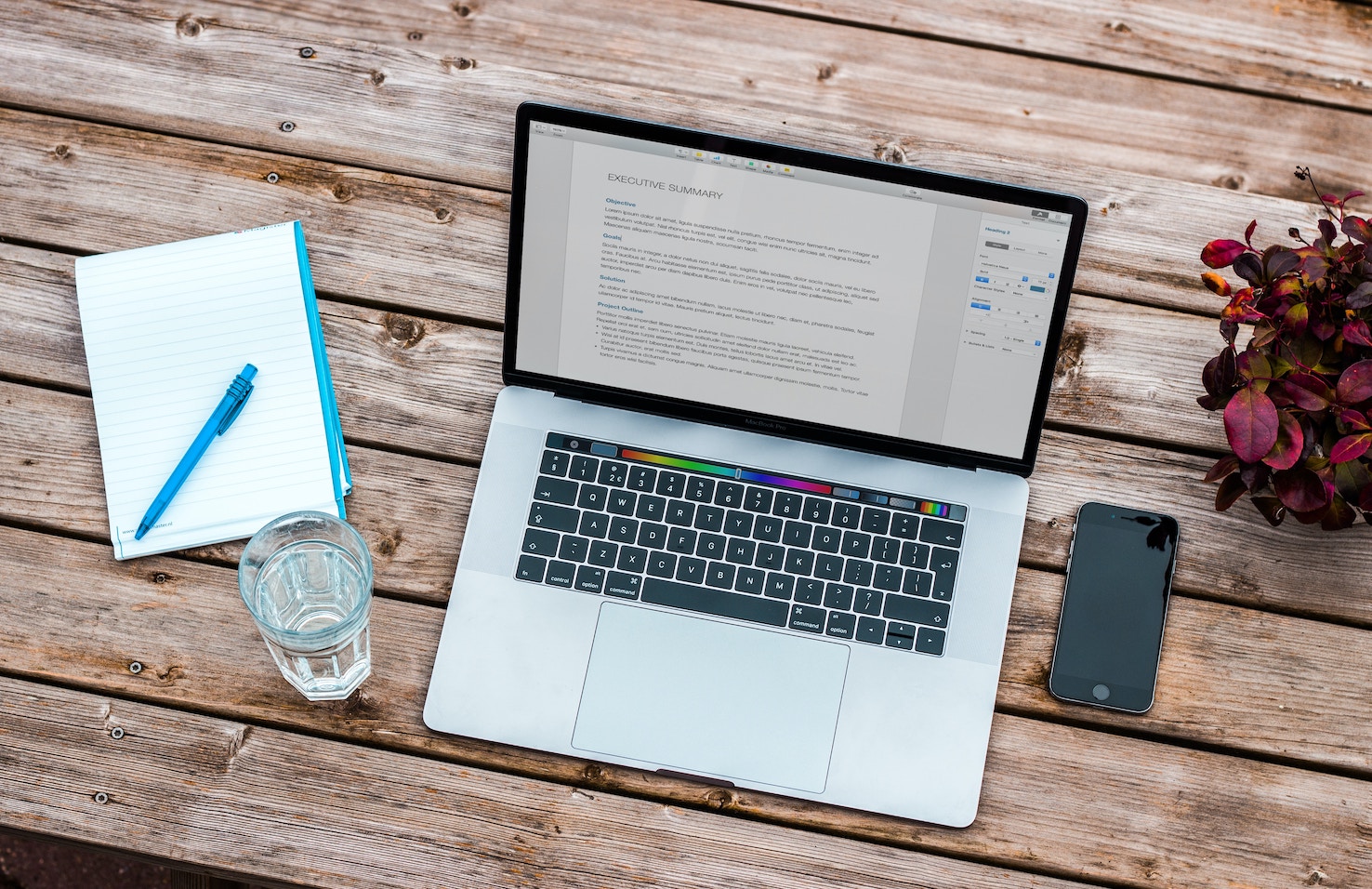 CV Hazırlama Programları